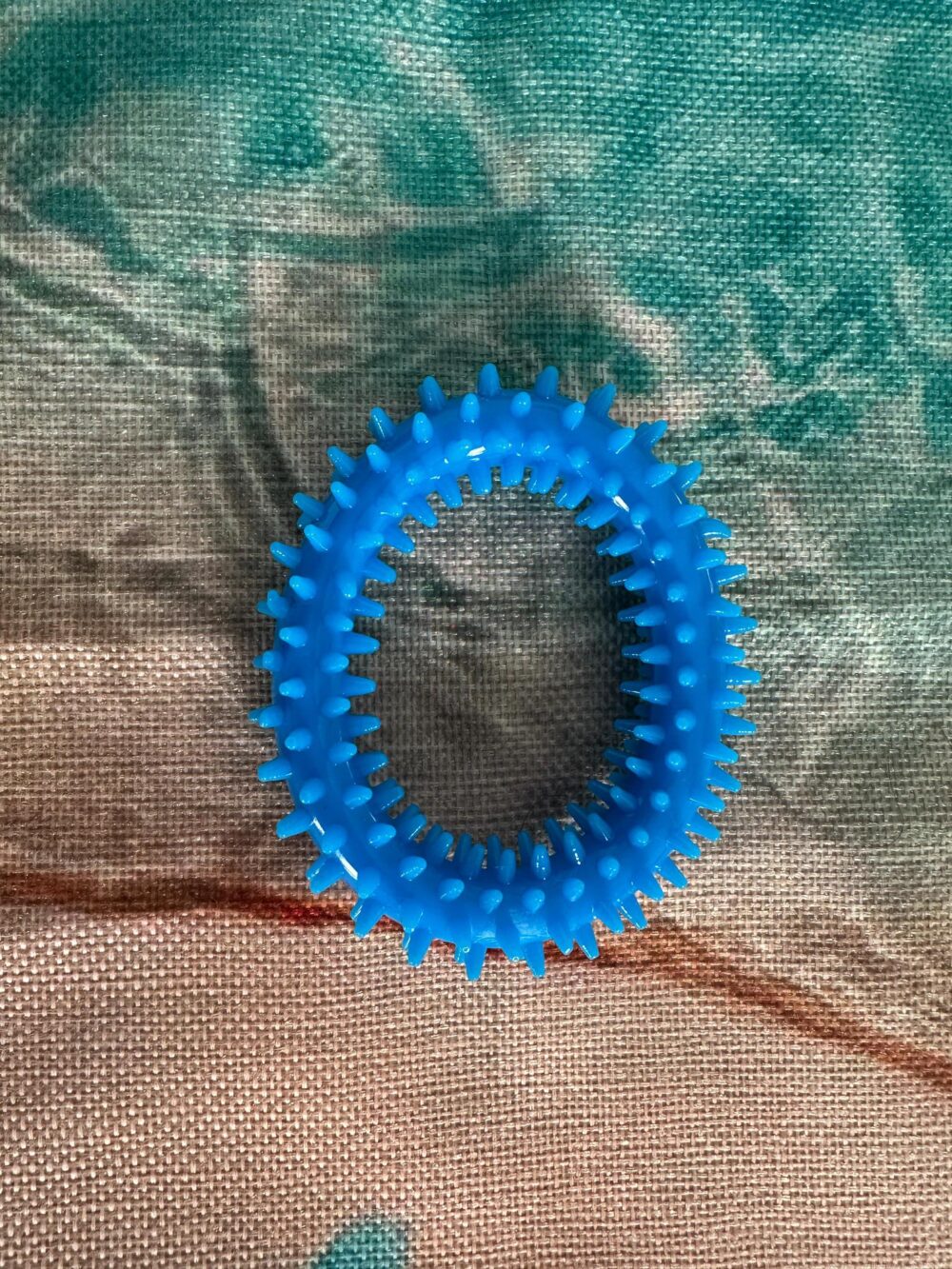 Dog Chew Ring Toy